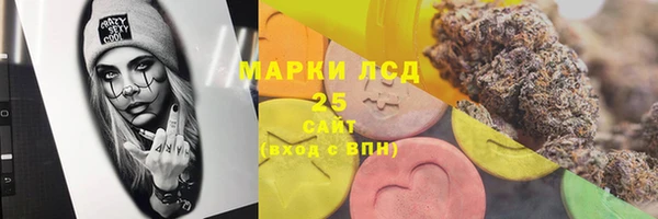 прущий лед Алзамай