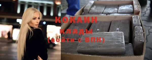 прущий лед Алзамай