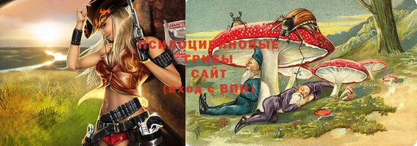 apvp Алексин