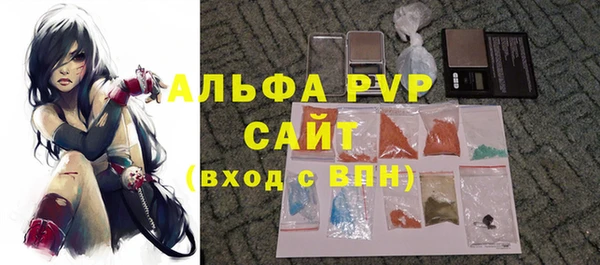 прущий лед Алзамай