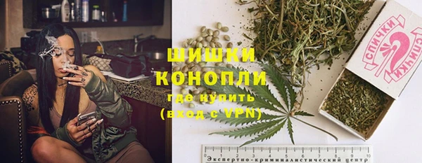 apvp Алексин