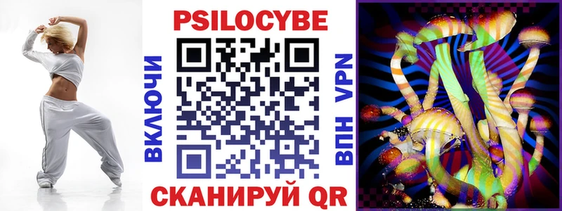 где продают наркотики omg зеркало Псилоцибиновые грибы Psilocybine cubensis Шумиха